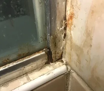 Плесень на душевой кабине